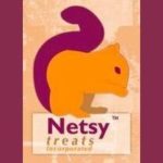 Netsy - Wizathon Logo